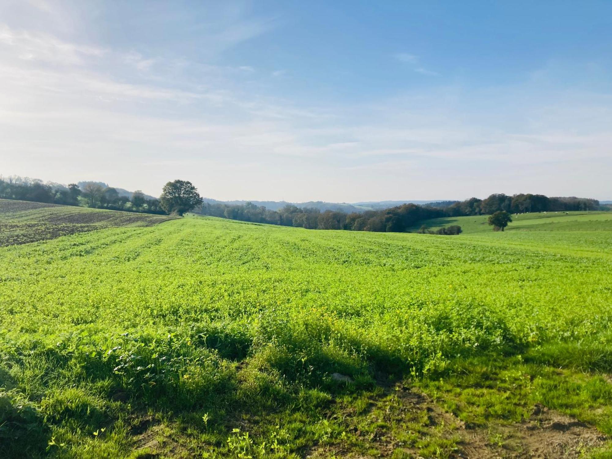 Woody Lodge - Duplex Nature Bonsoy Ardennes Hastiere-par-dela Luaran gambar