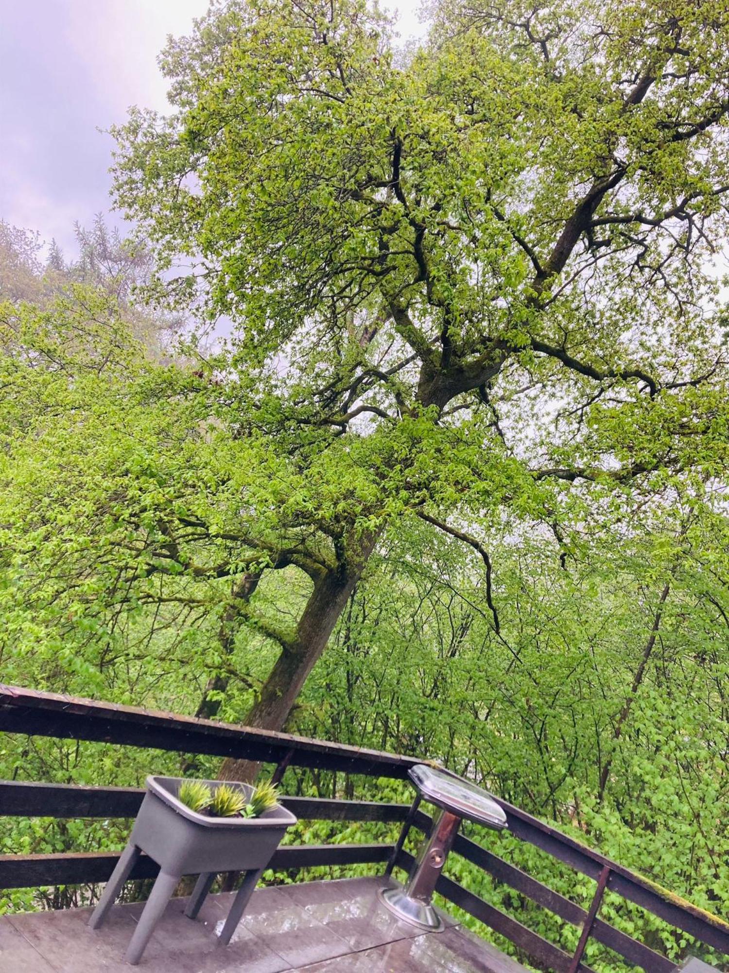 Woody Lodge - Duplex Nature Bonsoy Ardennes Hastiere-par-dela Luaran gambar