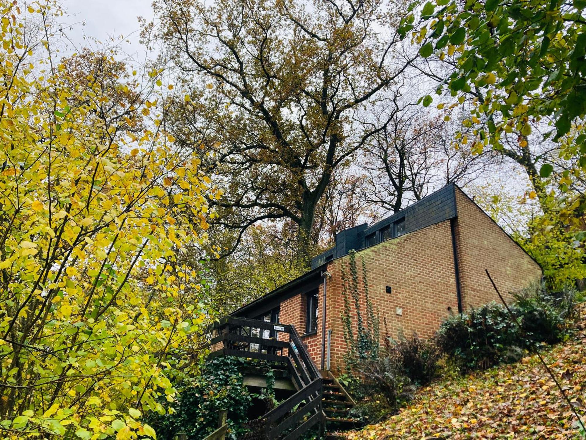 Woody Lodge - Duplex Nature Bonsoy Ardennes Hastiere-par-dela Luaran gambar