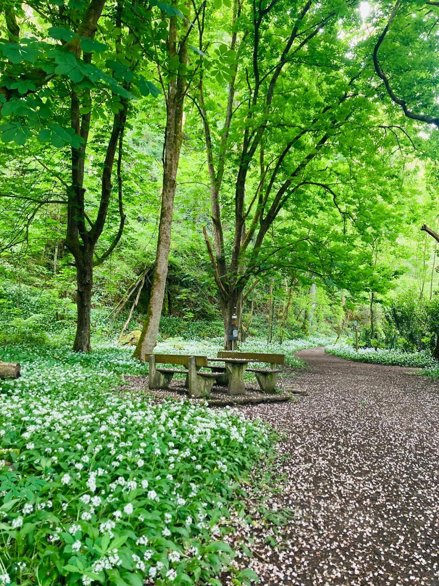 Woody Lodge - Duplex Nature Bonsoy Ardennes Hastiere-par-dela Luaran gambar