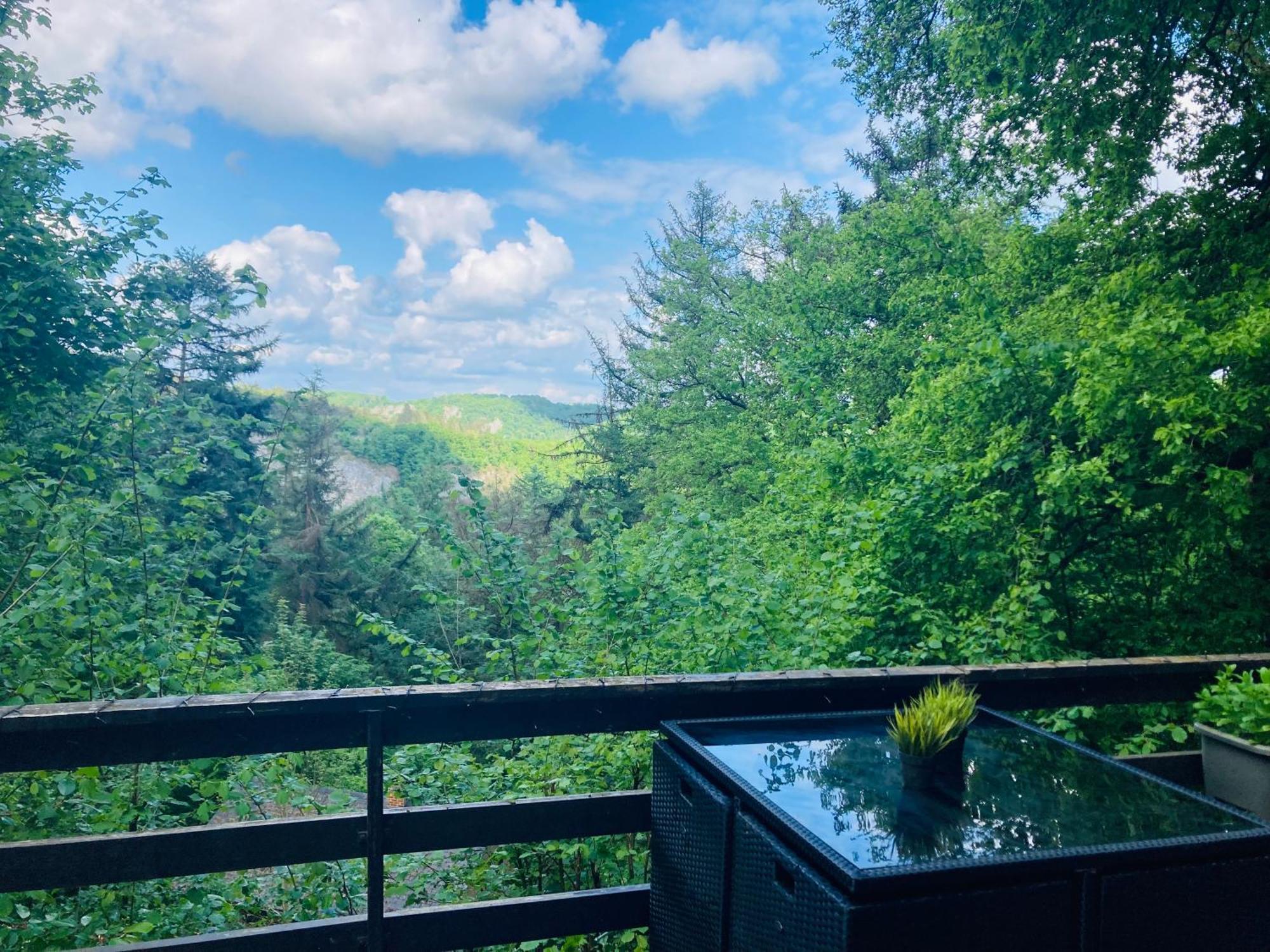 Woody Lodge - Duplex Nature Bonsoy Ardennes Hastiere-par-dela Luaran gambar